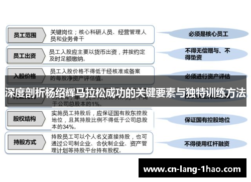深度剖析杨绍辉马拉松成功的关键要素与独特训练方法